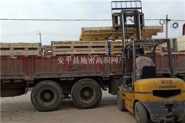 金刚网081